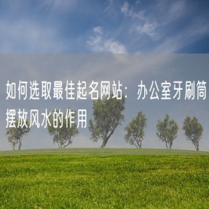 如何选取最佳起名网站：办公室牙刷筒摆放风水的作用
