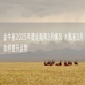 金牛座2025年提运指南3月情况 水瓶座3月如何提升运势