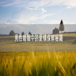 男性婚姻中的爱情保鲜秘籍