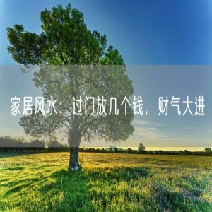 家居风水：过门放几个钱，财气大进