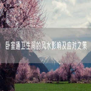 卧室通卫生间的风水影响及应对之策