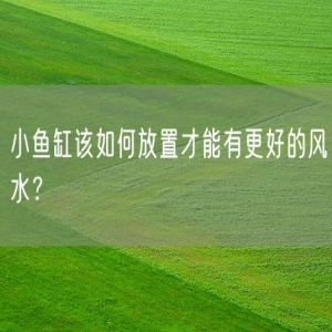 小鱼缸该如何放置才能有更好的风水？