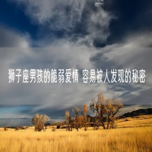 狮子座男孩的脆弱爱情 容易被人发现的秘密