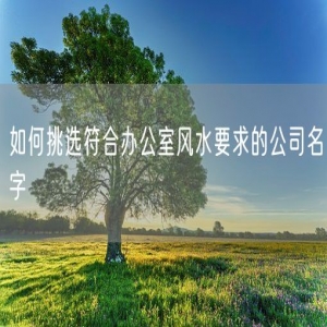 如何挑选符合办公室风水要求的公司名字