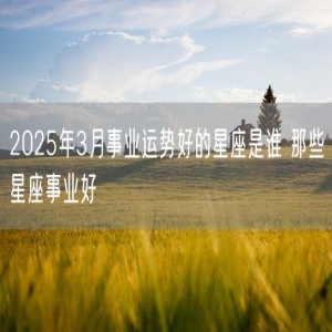 2025年3月事业运势好的星座是谁 那些星座事业好