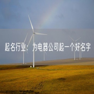 起名行业：为电器公司起一个好名字