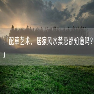 「配草艺术，居家风水禁忌都知道吗？」