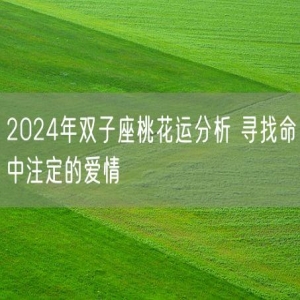 2024年双子座桃花运分析 寻找命中注定的爱情