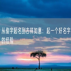 从俊字起名到吉祥如意：起一个好名字的经验