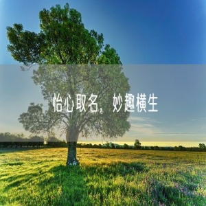 怡心取名，妙趣横生