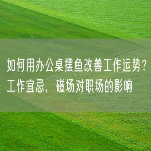 如何用办公桌摆鱼改善工作运势？工作宜忌，磁场对职场的影响