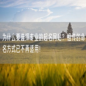 为什么要选择专业的起名网站？祖传的命名方式已不再适用！