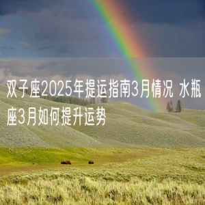 双子座2025年提运指南3月情况 水瓶座3月如何提升运势