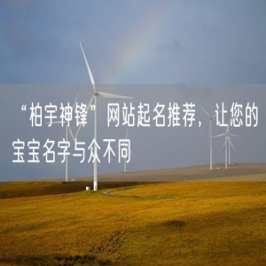 “柏宇神锋”网站起名推荐，让您的宝宝名字与众不同