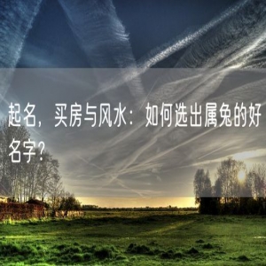 起名，买房与风水：如何选出属兔的好名字？