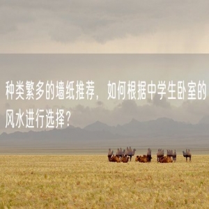 种类繁多的墙纸推荐，如何根据中学生卧室的风水进行选择？