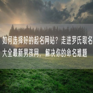 如何选择好的起名网站？走进罗氏取名大全最新男孩网，解决你的命名难题