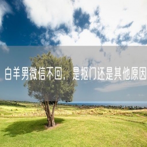 白羊男微信不回，是抠门还是其他原因