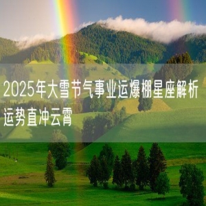 2025年大雪节气事业运爆棚星座解析 运势直冲云霄