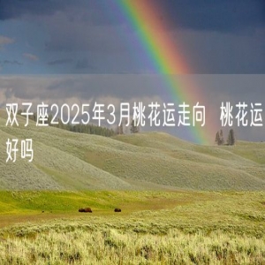 双子座2025年3月桃花运走向  桃花运好吗