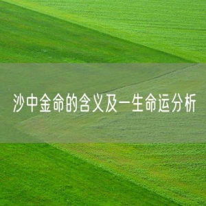 沙中金命的含义及一生命运分析