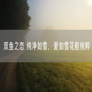 双鱼之恋 纯净如雪，爱如雪花般纯粹