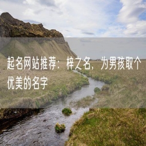 起名网站推荐：梓之名，为男孩取个优美的名字