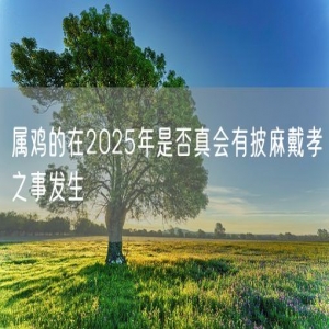 属鸡的在2025年是否真会有披麻戴孝之事发生
