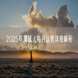 2025年属鼠人每月运势详细解析