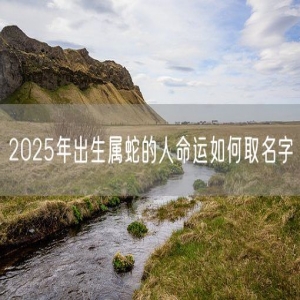 2025年出生属蛇的人命运如何取名字