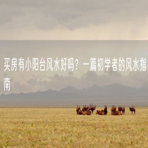买房有小阳台风水好吗？一篇初学者的风水指南