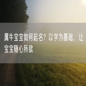 属牛宝宝如何起名？以字为基础，让宝宝随心所欲
