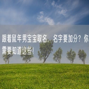 跟着鼠年男宝宝取名，名字要加分？你需要知道这些！