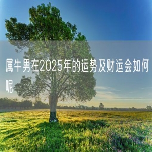 属牛男在2025年的运势及财运会如何呢