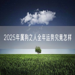 2025年属狗之人全年运势究竟怎样