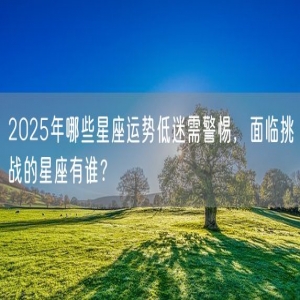2025年哪些星座运势低迷需警惕，面临挑战的星座有谁？