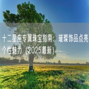 十二星座专属珠宝指南：璀璨饰品点亮个性魅力（2025最新）