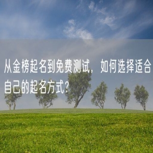 从金榜起名到免费测试，如何选择适合自己的起名方式？