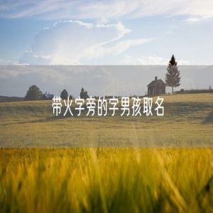 带火字旁的字男孩取名
