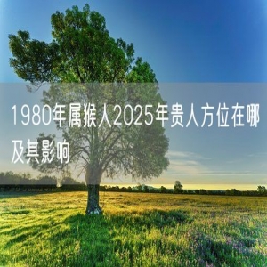 1980年属猴人2025年贵人方位在哪及其影响