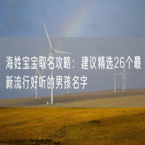 海姓宝宝取名攻略：建议精选26个最新流行好听的男孩名字
