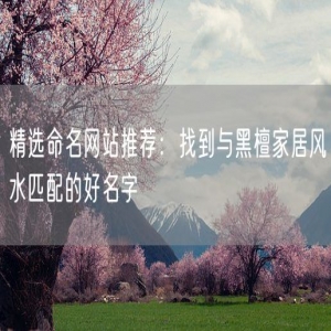 精选命名网站推荐：找到与黑檀家居风水匹配的好名字