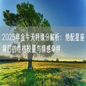 2025年金牛天秤缘分解析：绝配星座背后的性格较量与情感牵绊