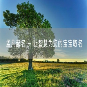 孟凡起名 - 让智慧为您的宝宝取名