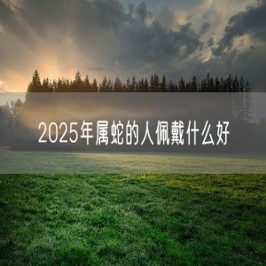 2025年属蛇的人佩戴什么好