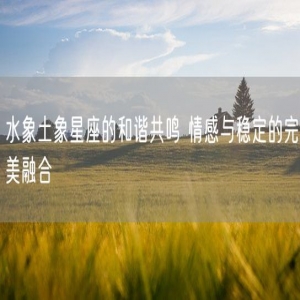 水象土象星座的和谐共鸣 情感与稳定的完美融合