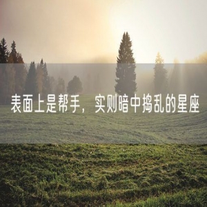 表面上是帮手，实则暗中捣乱的星座