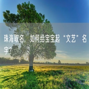 珠海取名，如何给宝宝起“文艺”名字？