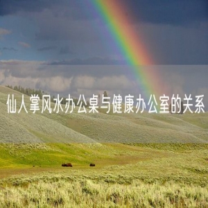 仙人掌风水办公桌与健康办公室的关系