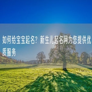 如何给宝宝起名？新生儿起名网为您提供优质服务